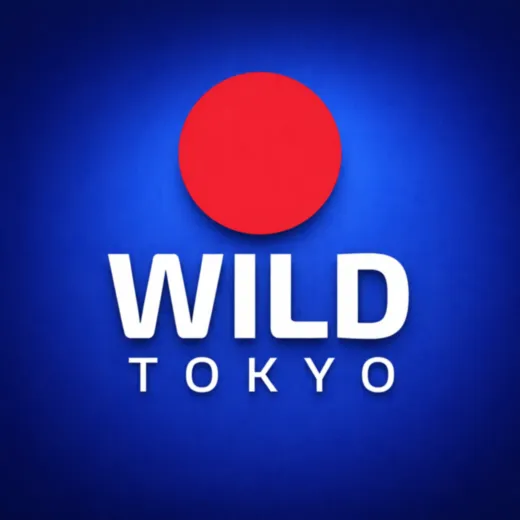 Wild Tokyo Casino